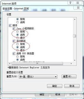 公司服務器共享文件設置、管理與審計綜合指南